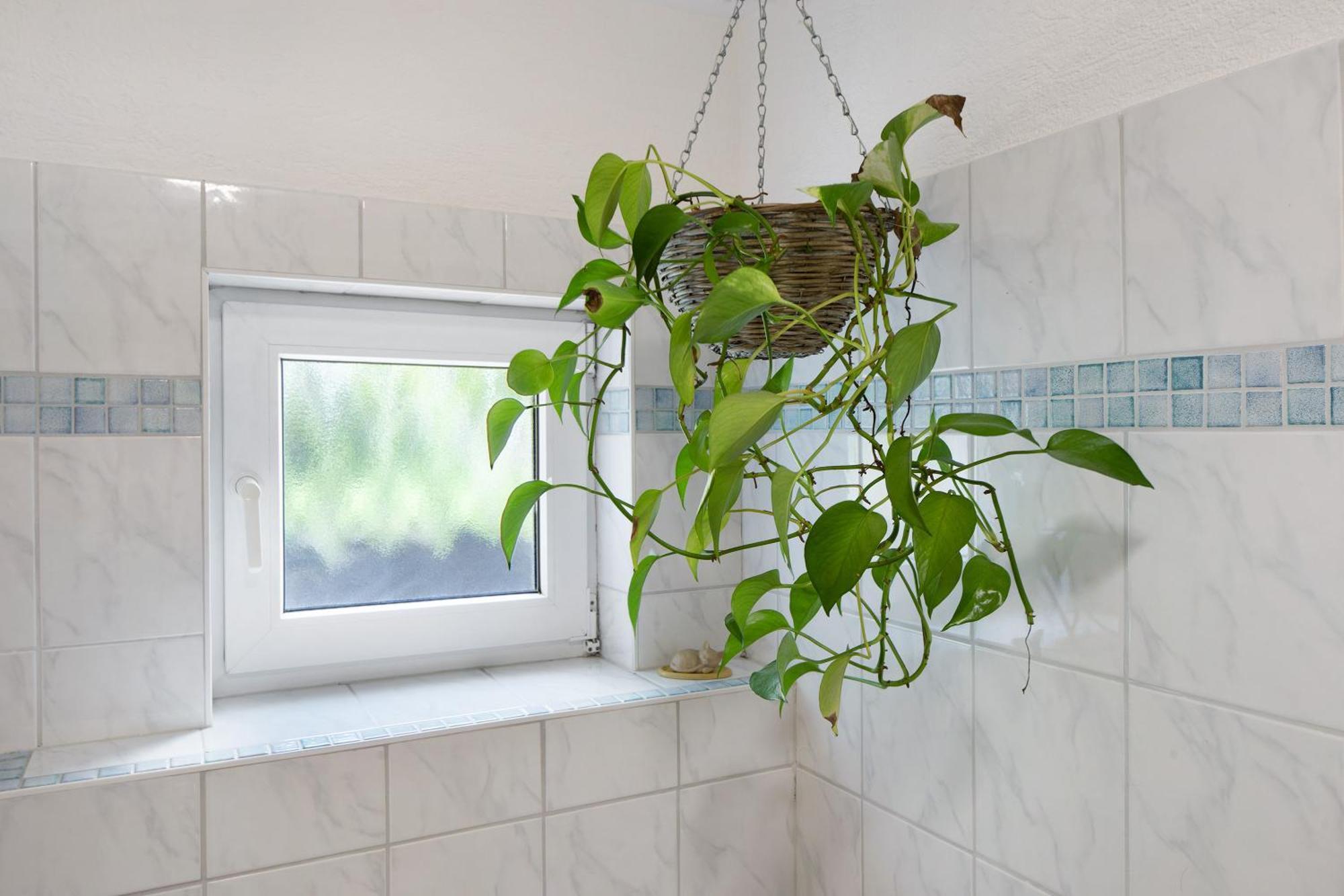 Ferienwohnung Zur Schauinslandbahn Horben Dış mekan fotoğraf
