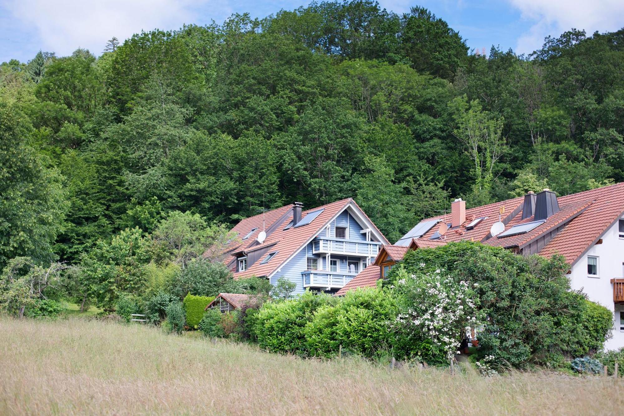 Ferienwohnung Zur Schauinslandbahn Horben Dış mekan fotoğraf